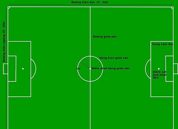 Luật Bóng Đá 7 Người: Cẩm Nang Toàn Diện Cho Huấn Luyện Viên - Fan Vinicius Việt Nam